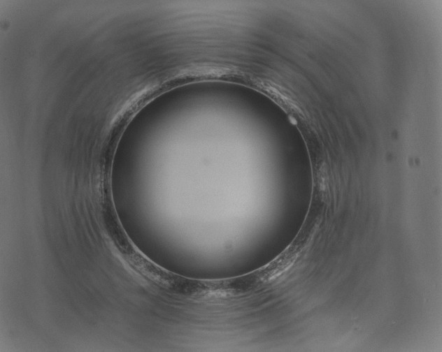 X0000070370352200606231653