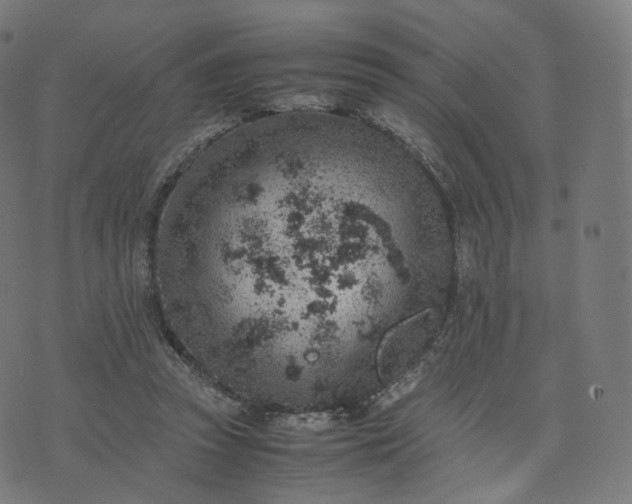 X0000070370353200606231653