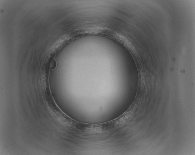 X0000070370354200606231653