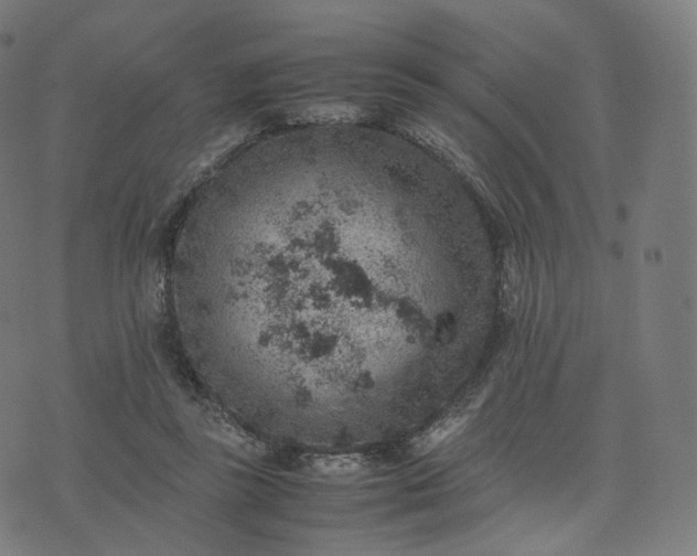 X0000070370355200606231653