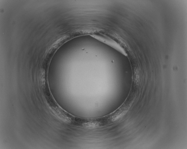 X0000070370356200606231653