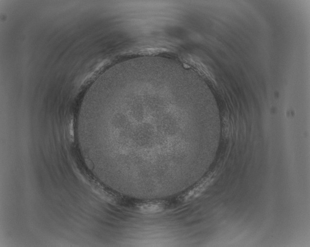 X0000070370358200606231653