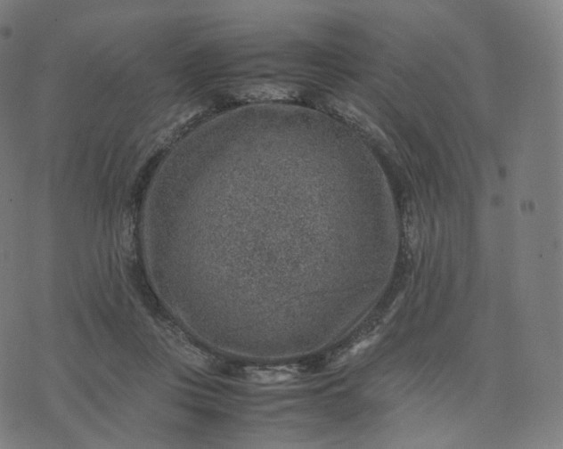 X0000070370359200606231653