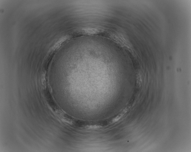 X0000070370360200606231653