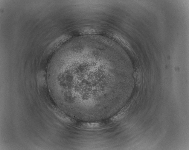 X0000070370361200606231653