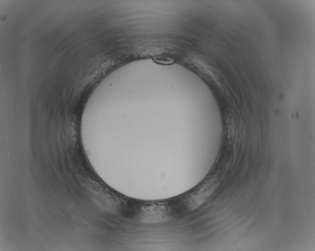 X0000070370362200606231653