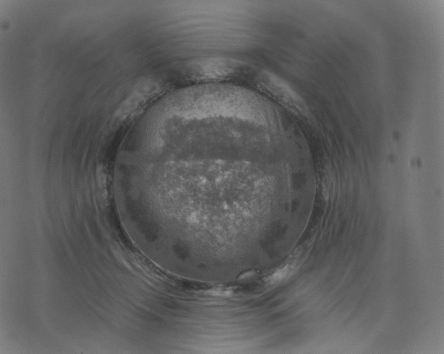 X0000070370366200606231653