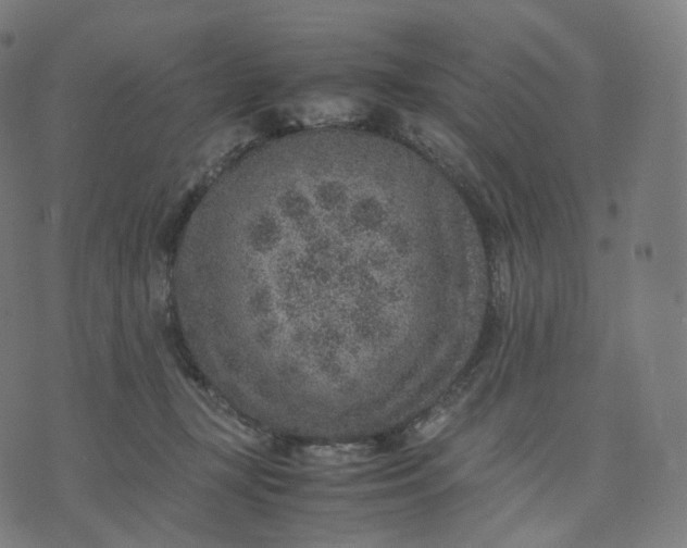 X0000070370367200606231653