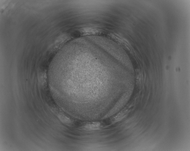 X0000070370369200606231653