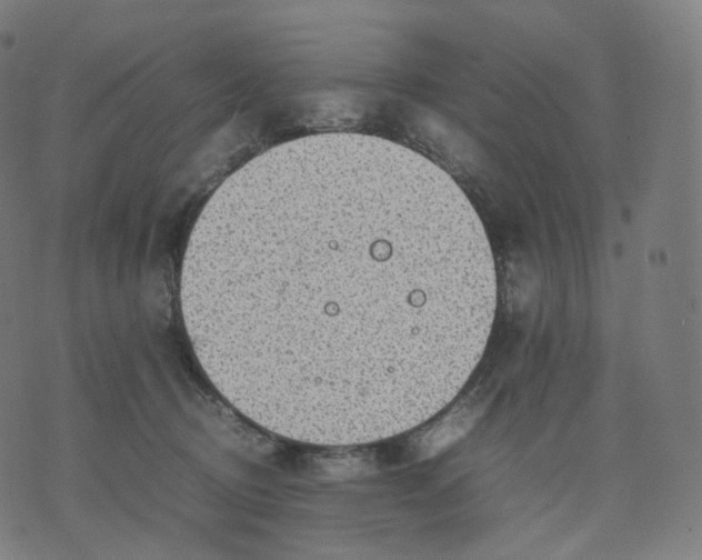 X0000070370370200606231653