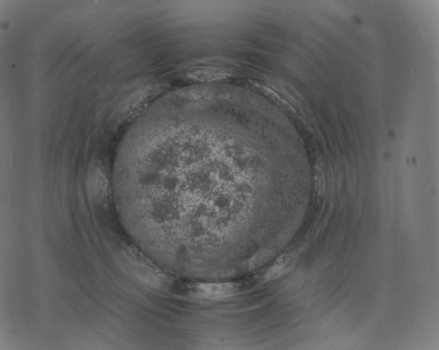 X0000070370371200606231653