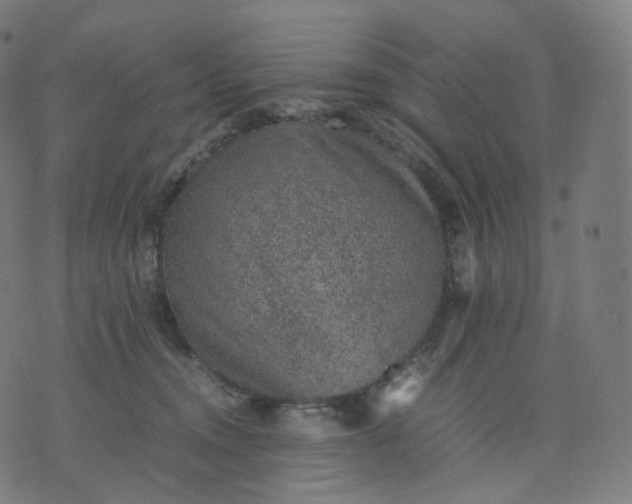 X0000070370372200606231653