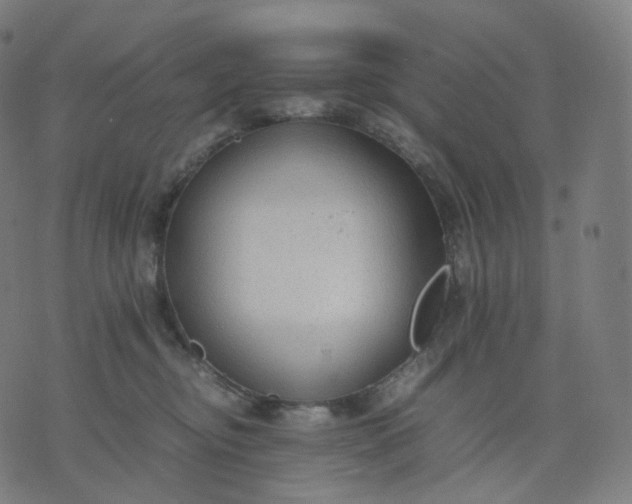 X0000070370374200606231653