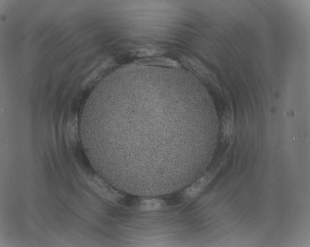 X0000070370376200606231653