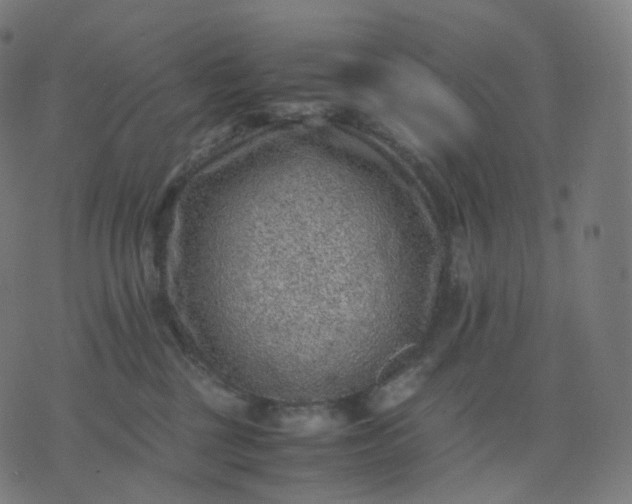 X0000070370377200606231653