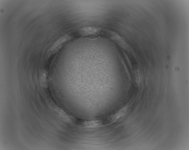 X0000070370378200606231653