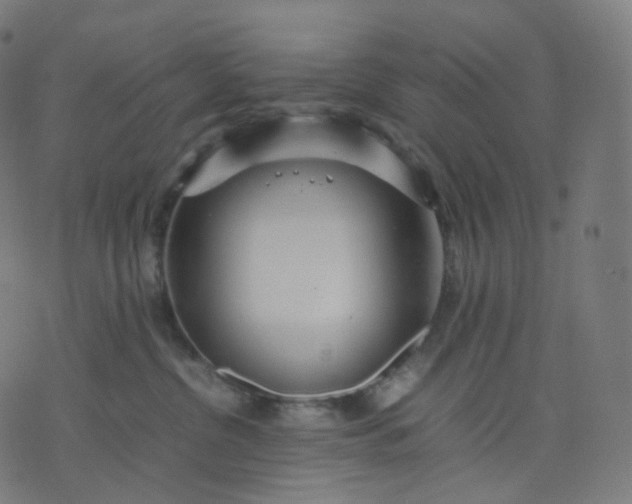 X0000070370380200606231653