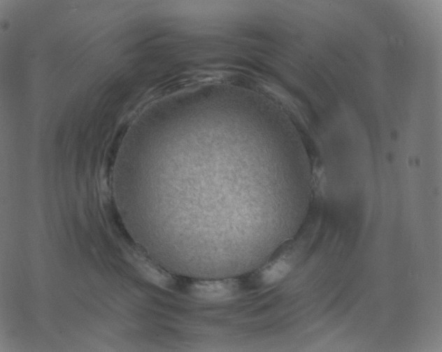 X0000070370381200606231653