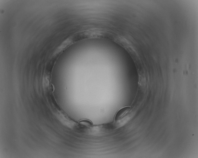 X0000070370382200606231653