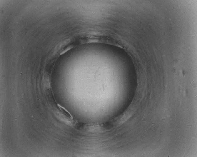 X0000070370384200606231653