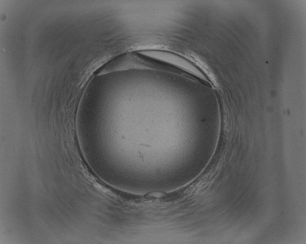 X0000070370385200606231653