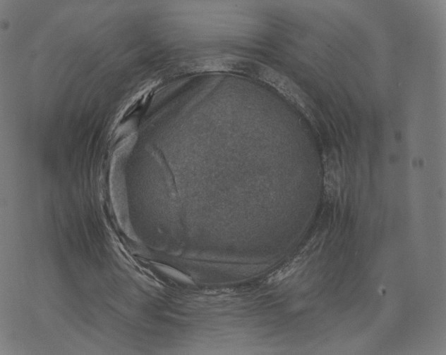 X0000070370386200606231653