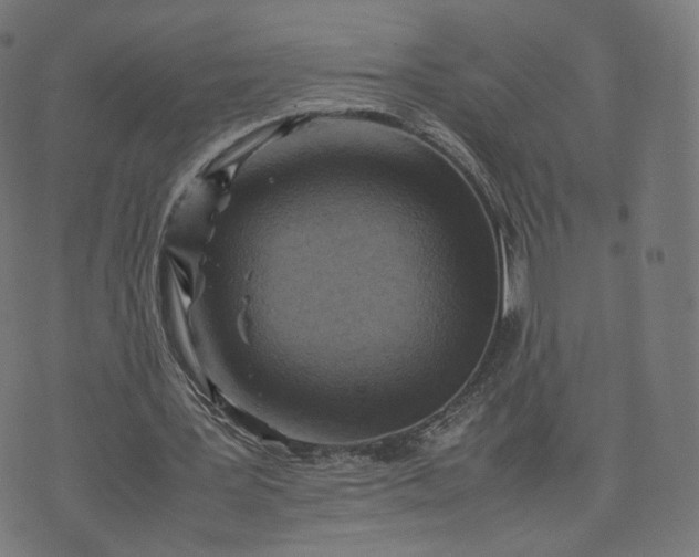 X0000070370387200606231653