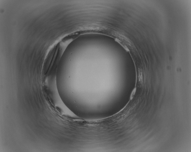 X0000070370388200606231652