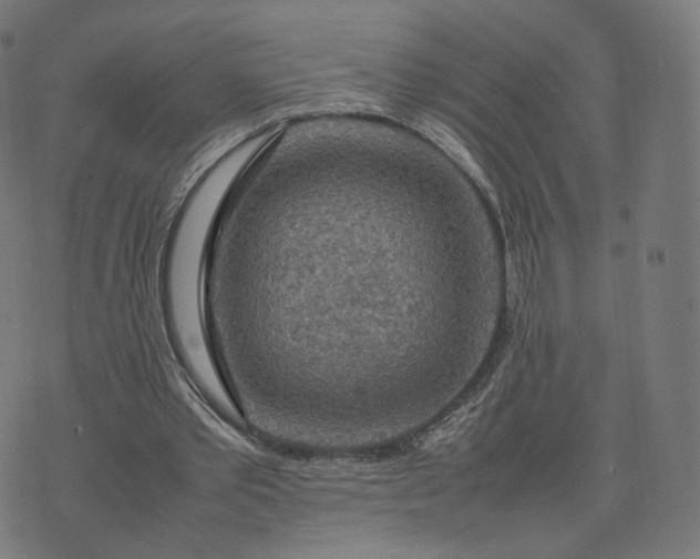 X0000070370389200606231652