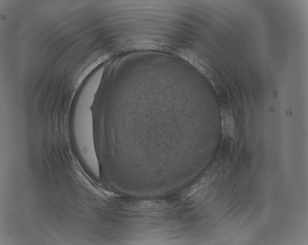 X0000070370390200606231652