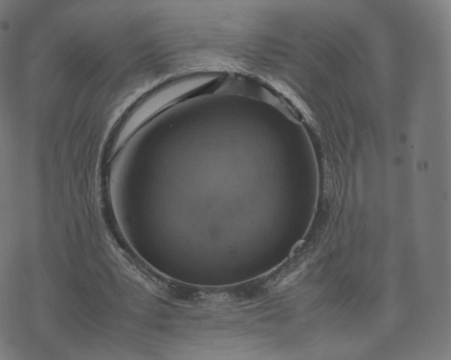 X0000070370391200606231652