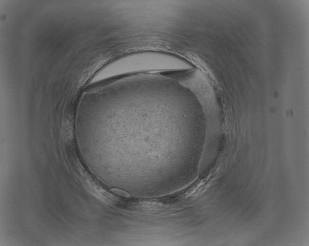 X0000070370393200606231652