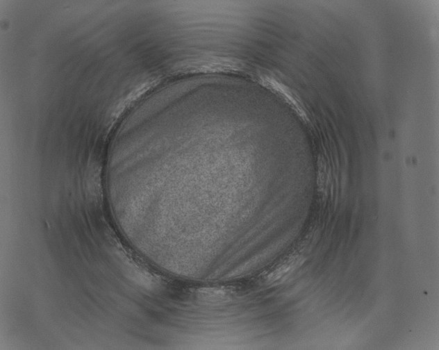 X0000070370394200606231652