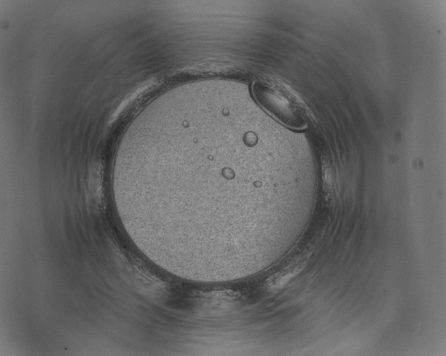 X0000070370396200606231652