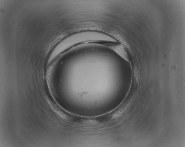 X0000070370397200606231652