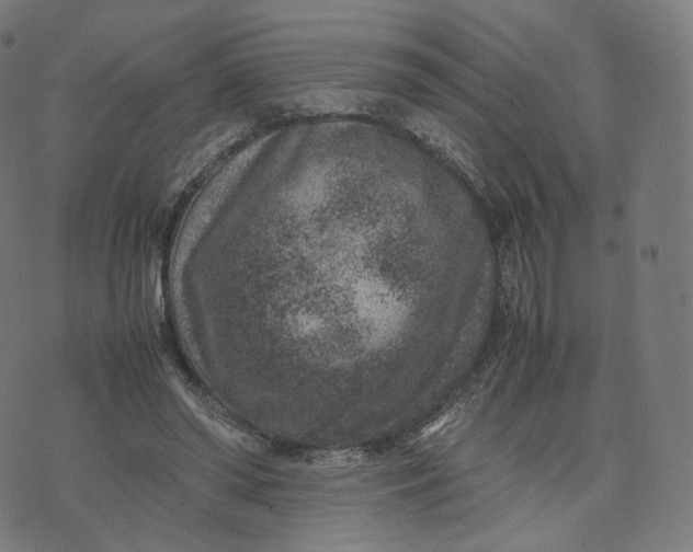 X0000070370398200606231652