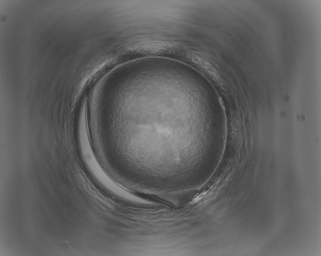 X0000070370399200606231652