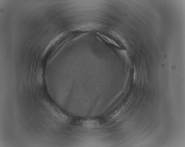 X0000070370400200606231652