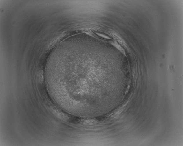 X0000070370401200606231652