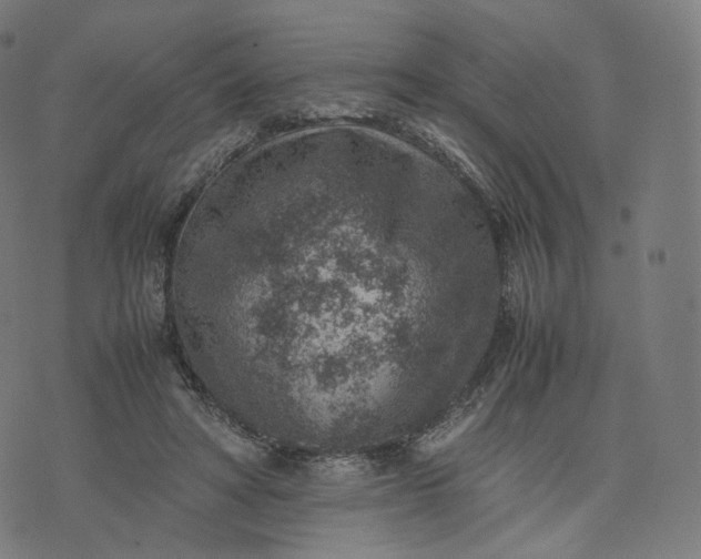 X0000070370402200606231652