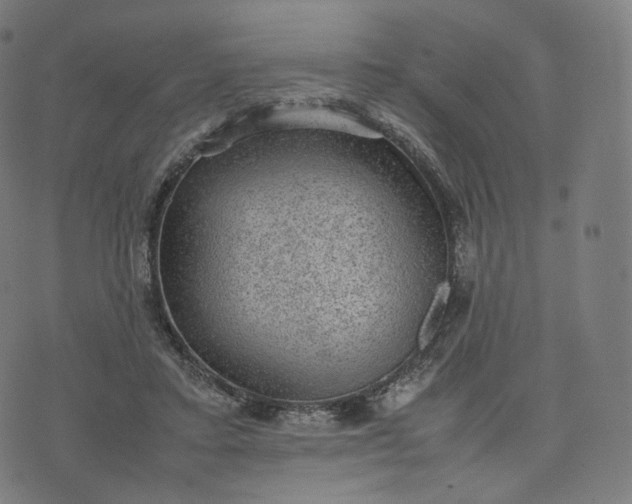 X0000070370403200606231652