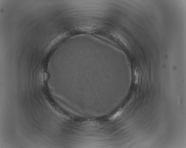 X0000070370404200606231652