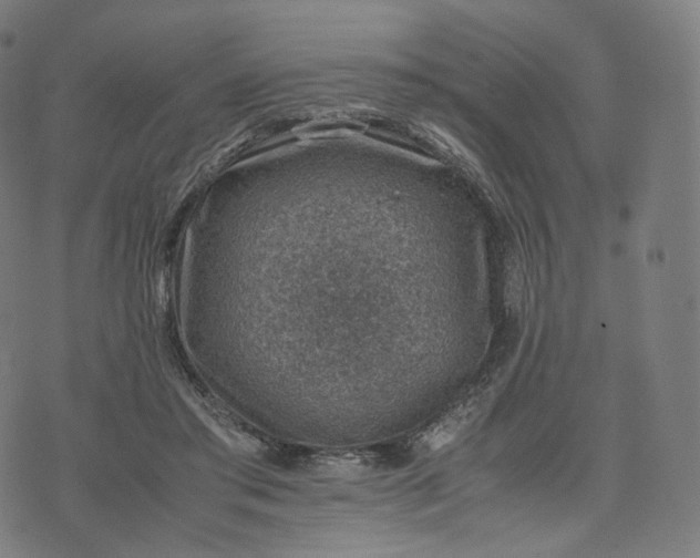 X0000070370405200606231652