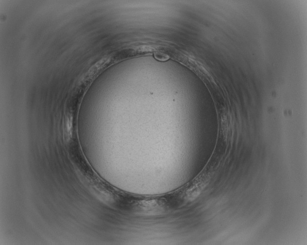 X0000070370406200606231652