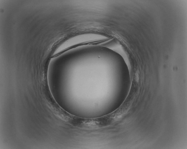 X0000070370407200606231652