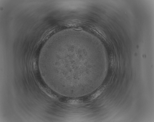 X0000070370408200606231652