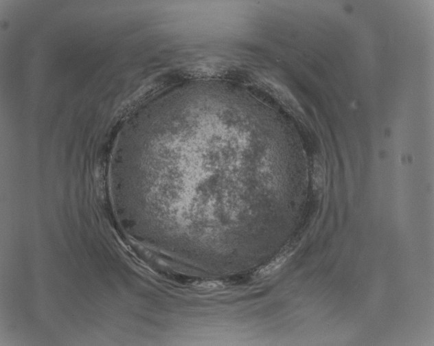 X0000070370409200606231652