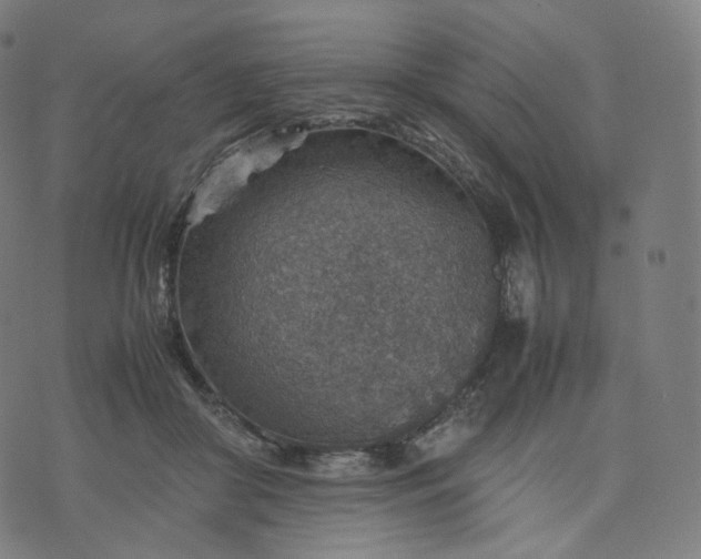 X0000070370410200606231652