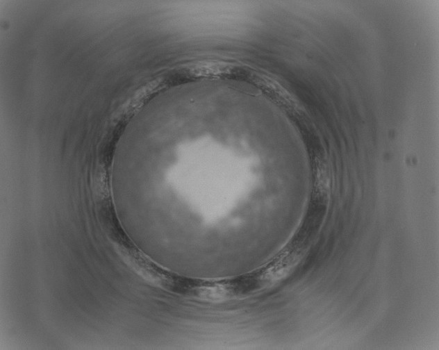 X0000070370411200606231652