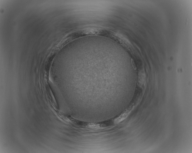 X0000070370413200606231652